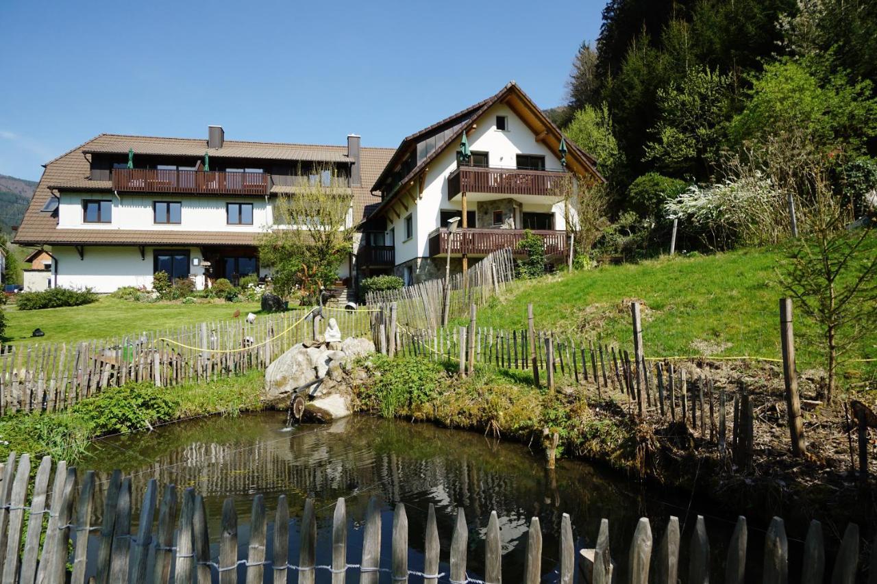Apartment Hoernleberg - Stubenhof, Black Forest