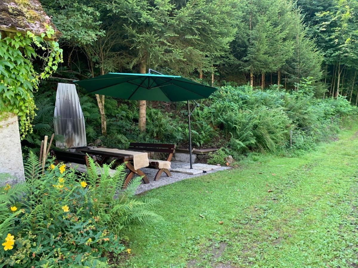 Hoernleberg - Stubenhof, Black Forest * Simonswald